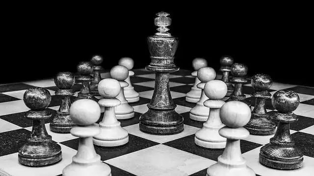 chess-or-checkers image