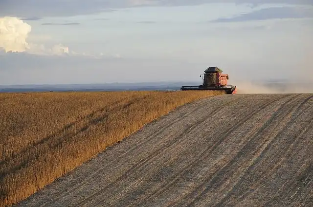 cotton-gin image