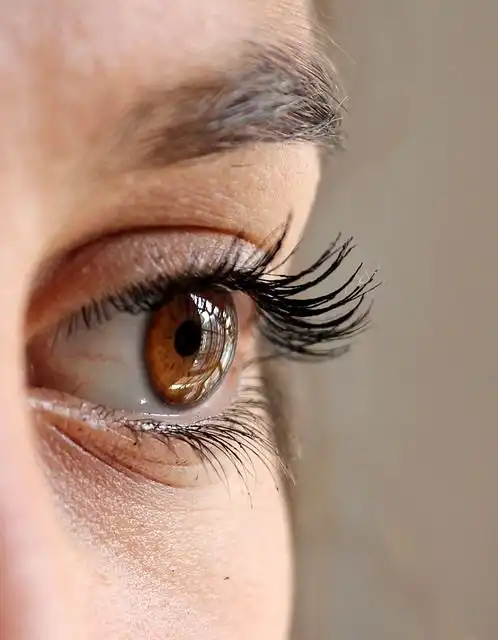 eyelashes image