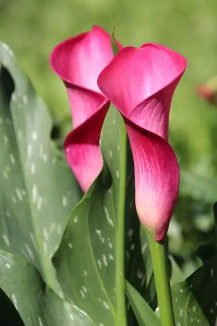 funnel image