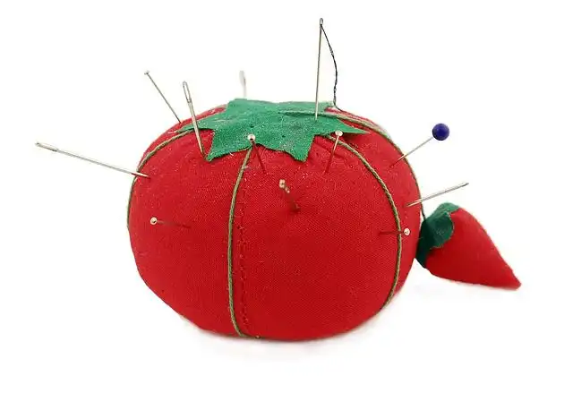 pin-cushion image