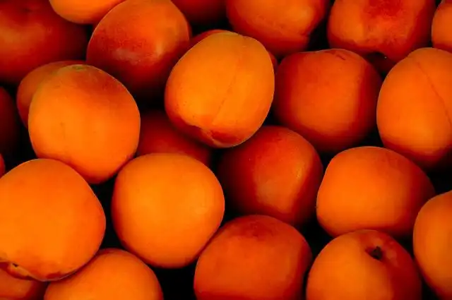 the-apricot image