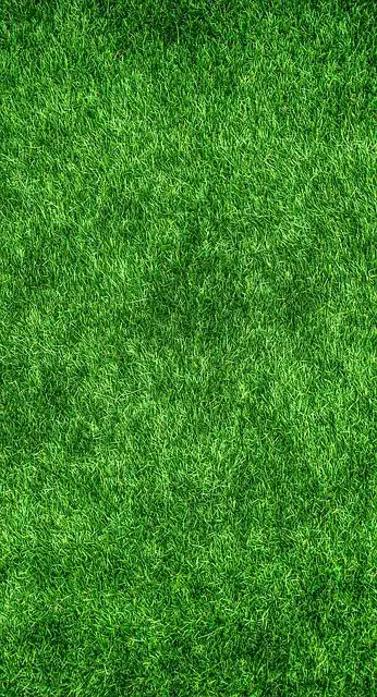 turf image